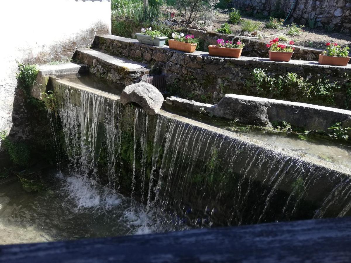 Pensjonat Casa Do Engenho Caldas de Sao Jorge Zewnętrze zdjęcie